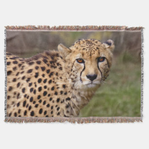 Cheetah Throw Blanket