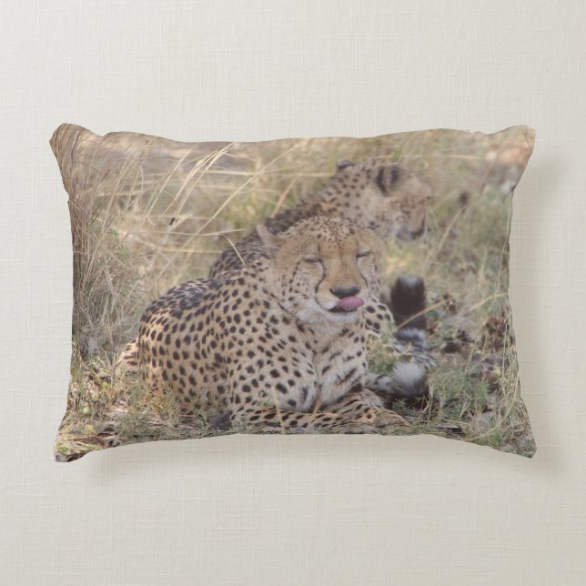 Cheetah tongue pillow (Front)