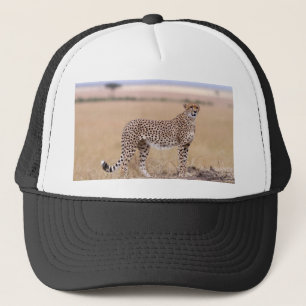 Cheetah Trucker Hat