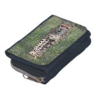 Cheetah Wallet