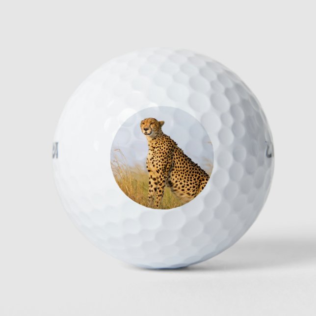 Cheetah wild animal Big Cat photo Golf Balls (Front)