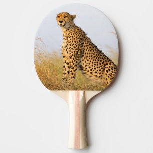 Cheetah wild animal Big Cat Ping Pong Paddle
