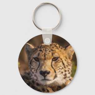 Cheetah Wildlife Big Cat  Key Ring