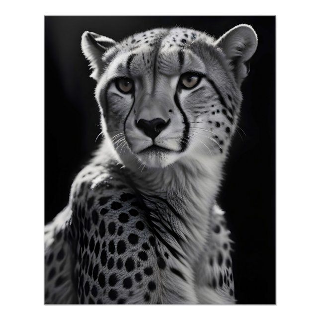 Cheetah Wildlife Majestic Nature Life Wallpaper Poster (Front)