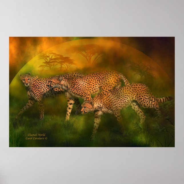 Cheetah World Art Poster/Print Poster (Front)