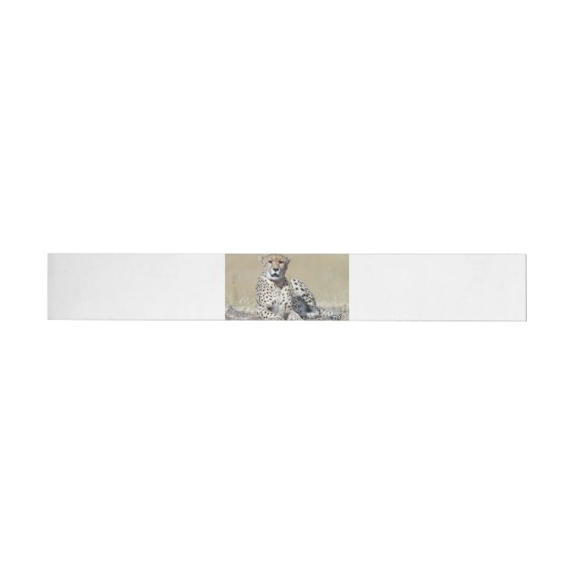 Cheetah Wraparound Address Label (Individual)
