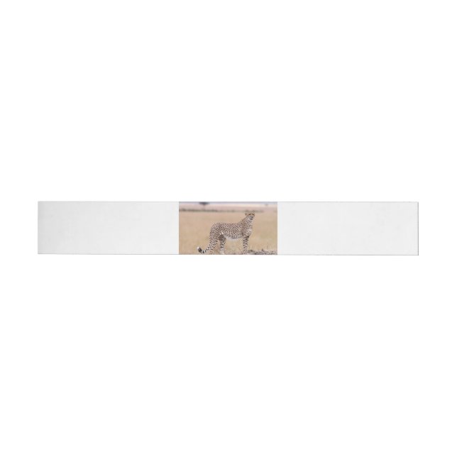 Cheetah Wraparound Address Label (Individual)