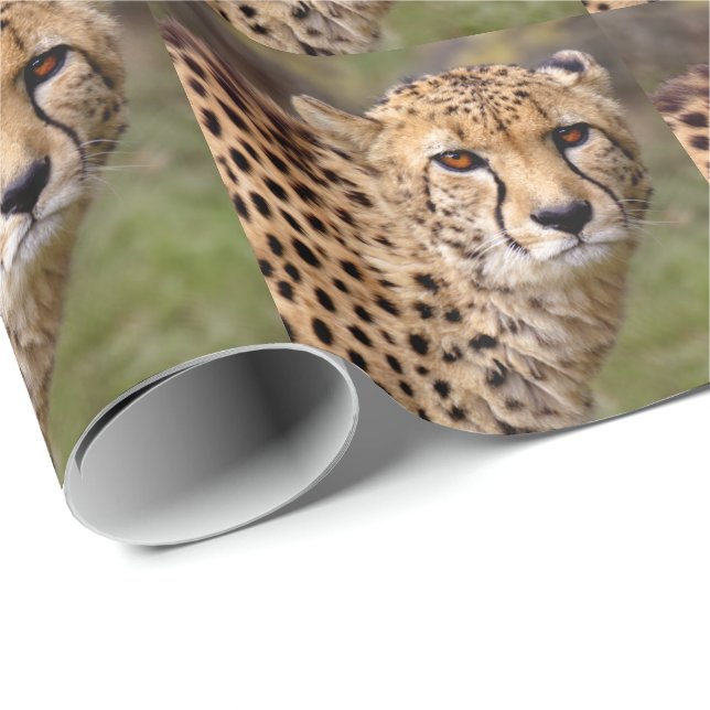 Cheetah Wrapping Paper (Roll Corner)