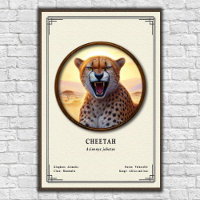 Cheetah Zoology Series