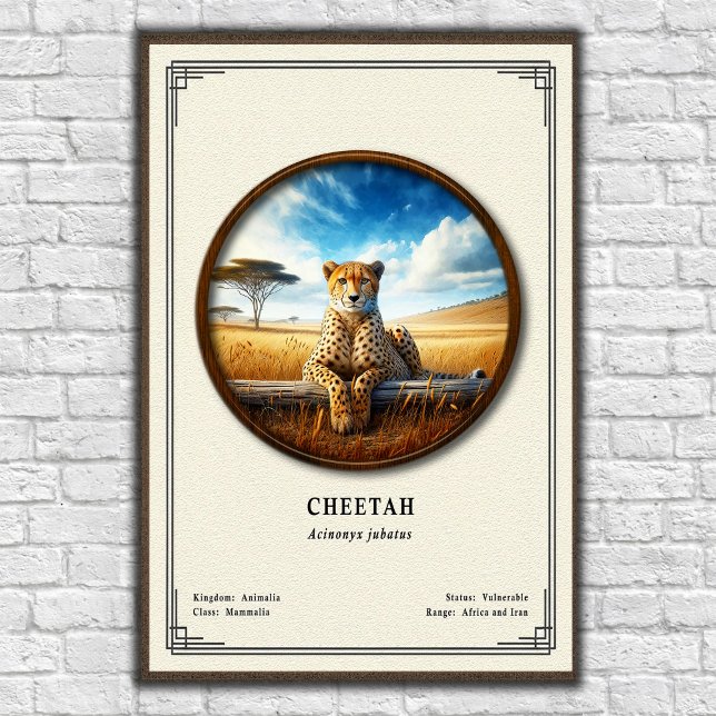 Cheetah Zoology Series Poster (Creator Uploaded)