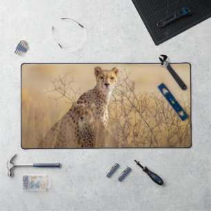 Cheetahs  desk mat