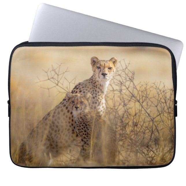 Cheetahs  laptop sleeve (Front)
