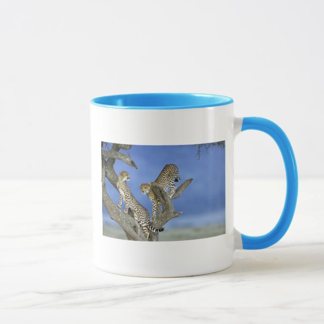 Cheetahs Mug (Right)