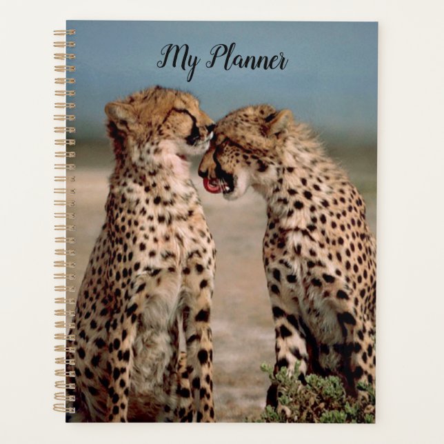 Cheetahs Planner (Front)