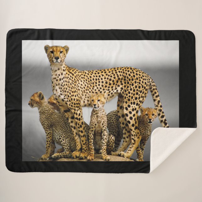 Cheetahs Sherpa Blanket (Front (Horizontal))