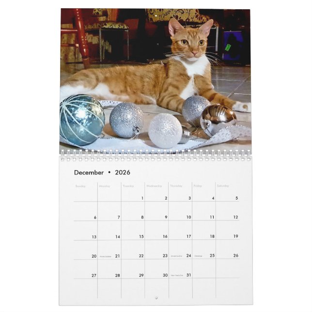 Cheeto Dacutecat 2020 Calendar (Dec 2026)