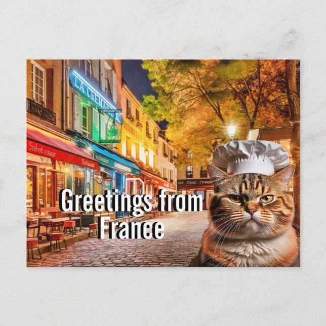 Chef Cat sends Greetings from France Postcard (Front)