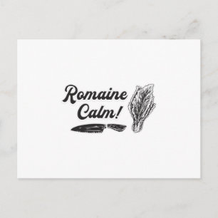 Chef Cook Cooking Cuisine Romaine Calm Funny Gift Postcard