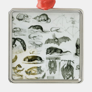 Cheiroptera, Insectivora Metal Tree Decoration