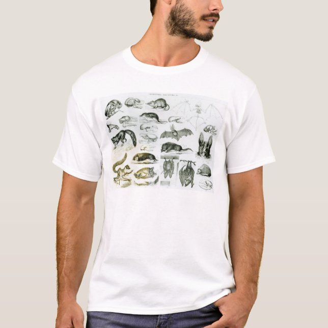 Cheiroptera, Insectivora T-Shirt (Front)