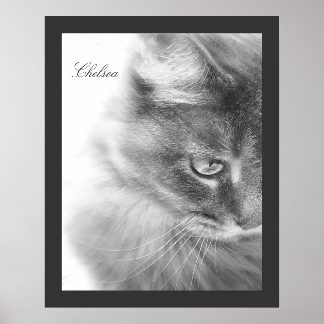 "Chelsea" Cat Portrait Poster (Front)