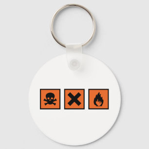 chemistry chemist signs key ring