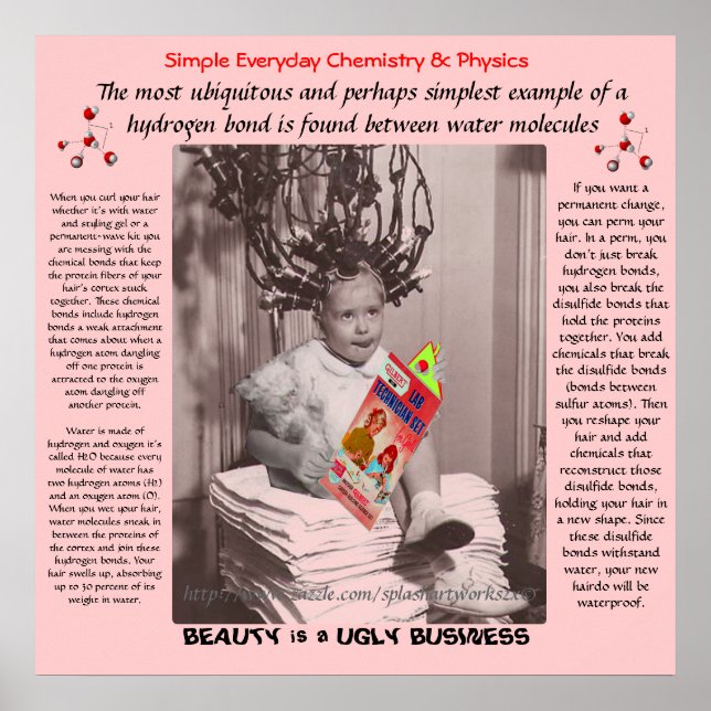 "Chemistry & Curls" Poster (Front)