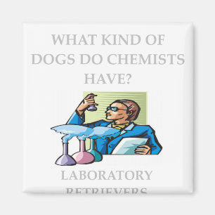 chemistry jokes magnet