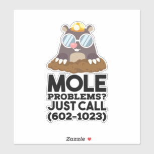 Chemistry - Mole Problems 