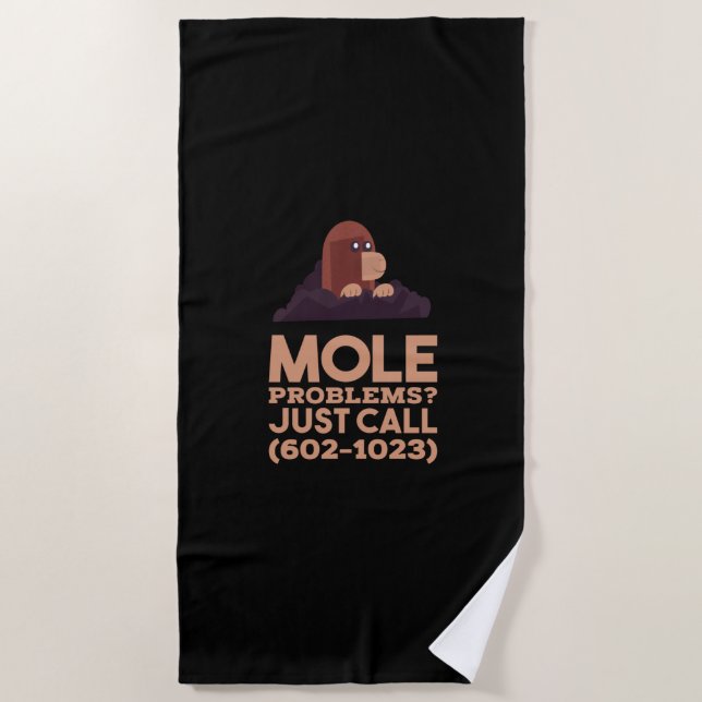Chemistry - Mole Problems Beach Towel (Front)
