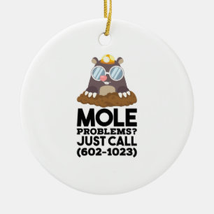 Chemistry - Mole Problems  Ceramic Ornament