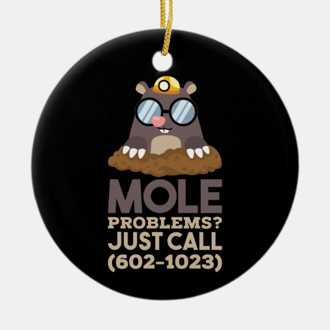 Chemistry - Mole Problems Ceramic Ornament (Front)