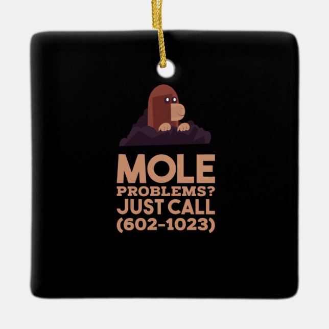 Chemistry - Mole Problems Ceramic Ornament (Front)