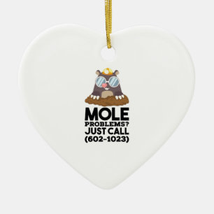 Chemistry - Mole Problems Ceramic Ornament