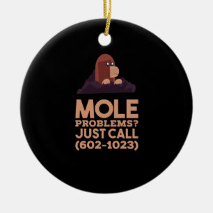 Chemistry - Mole Problems Ceramic Ornament