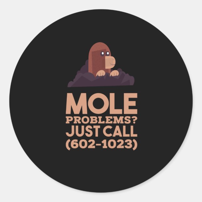 Chemistry - Mole Problems Classic Round Sticker (Front)
