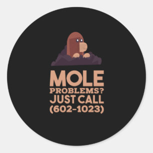 Chemistry - Mole Problems Classic Round Sticker