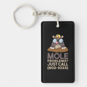 Chemistry - Mole Problems Key Ring