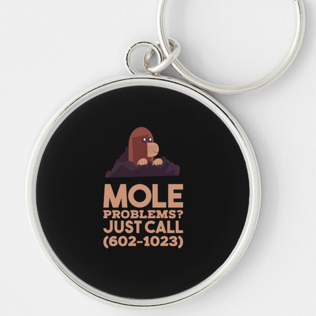 Chemistry - Mole Problems Key Ring (Front)