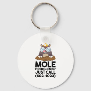 Chemistry - Mole Problems  Key Ring