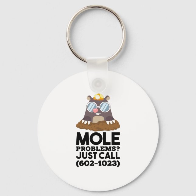 Chemistry - Mole Problems  Key Ring (Front)