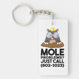 Chemistry - Mole Problems  Key Ring