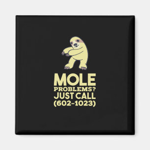 Chemistry - Mole Problems Magnet