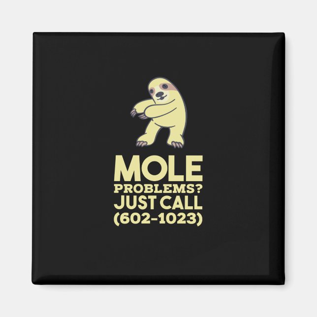 Chemistry - Mole Problems Magnet (Front)