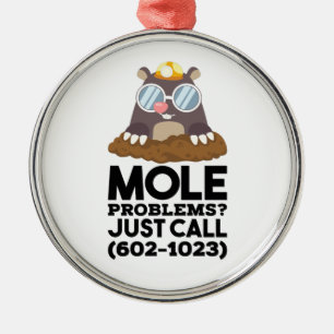 Chemistry - Mole Problems Metal Ornament