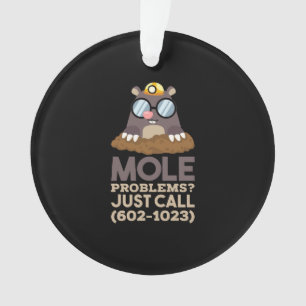 Chemistry - Mole Problems Ornament