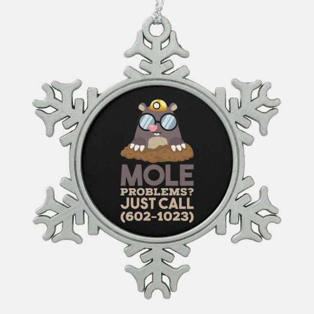 Chemistry - Mole Problems Snowflake Pewter Christmas Ornament (Front)