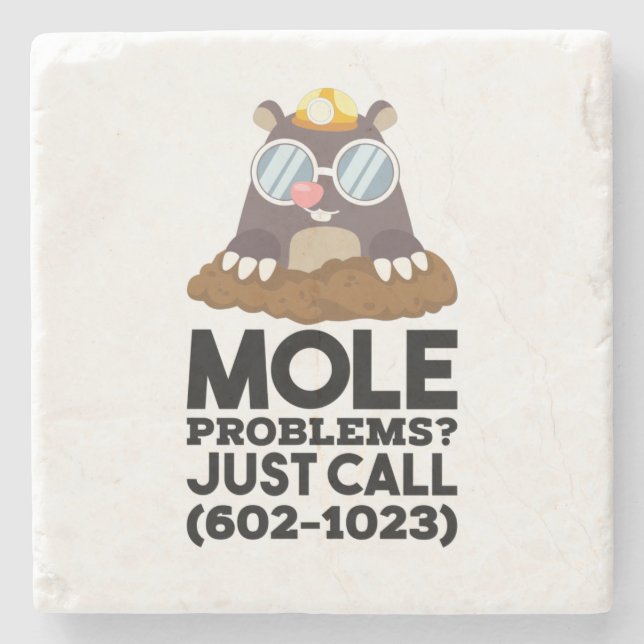 Chemistry - Mole Problems  Stone Coaster (Front)