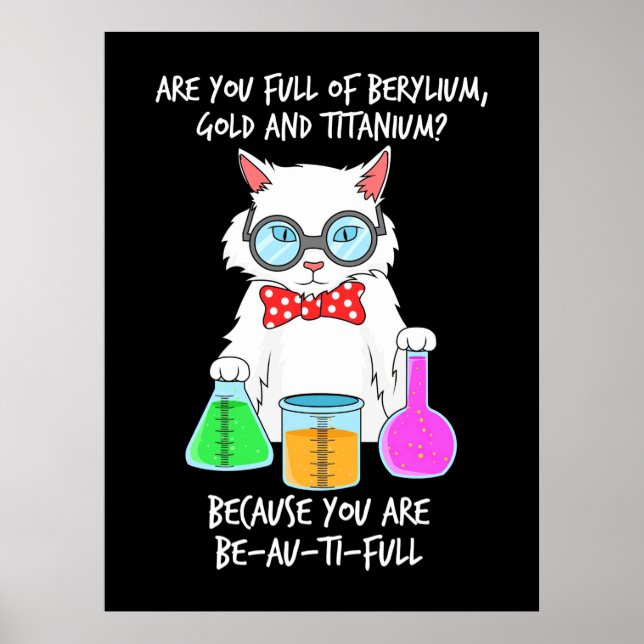 Chemistry Pun Student Loves Cat Poster (Front)