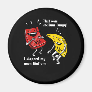 Chemistry That Was Sodium Funny Science Joke Magnet